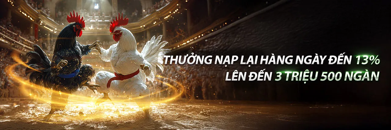 Sòng bạc trực tuyến bongvip casino