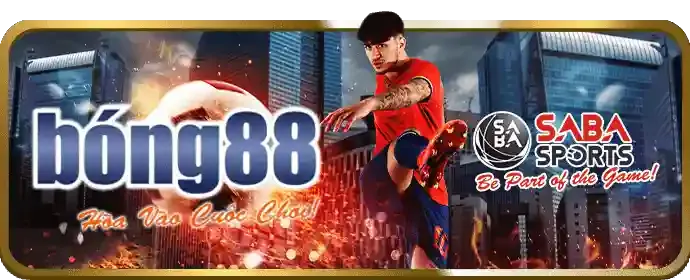 Cập nhật bảo mật bongvip casino